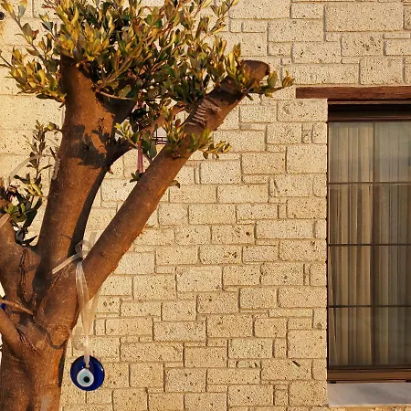 Hotel Vahide Dalyan *