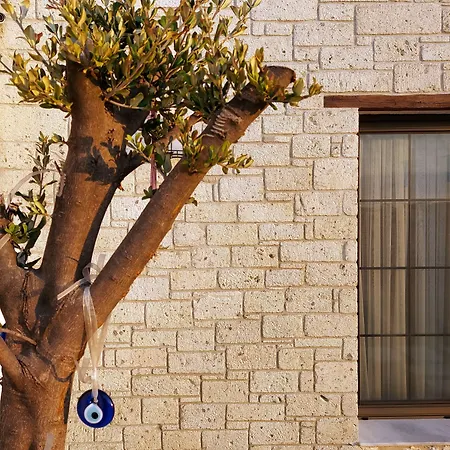 Hotel Vahide Dalyan *