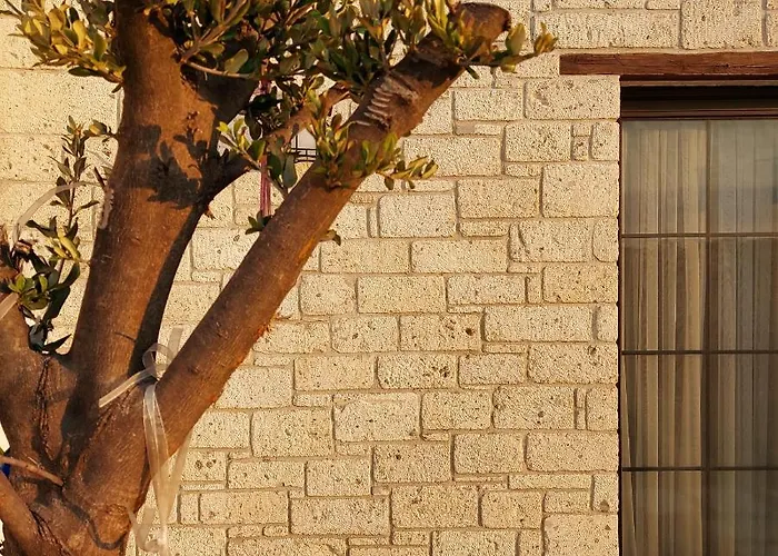 Hotel Vahide Dalyan *