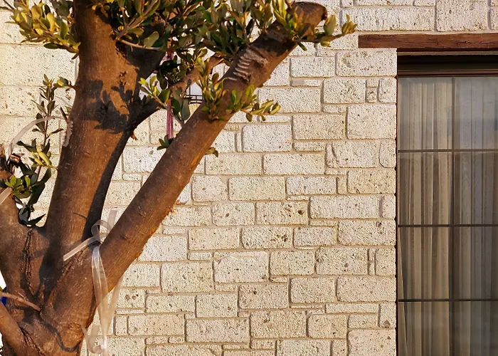 Hotel Vahide Dalyan *